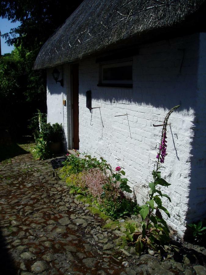 Stable Cottage Devizes Dış mekan fotoğraf